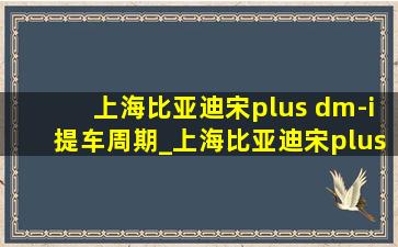 上海比亚迪宋plus dm-i提车周期_上海比亚迪宋plusdmi(低价烟批发网)提车情况